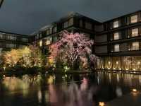 京都　ラグジュアリーホテル　HOTEL THE MITSUI  KYOTOのライトアップが凄すぎた❗️
