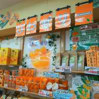 【千葉 館山】駅前のお土産屋『亀屋本店』