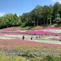 【埼玉県】秩父・長瀞1day満喫コース