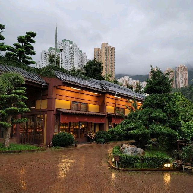 城市淨土🏞🏞