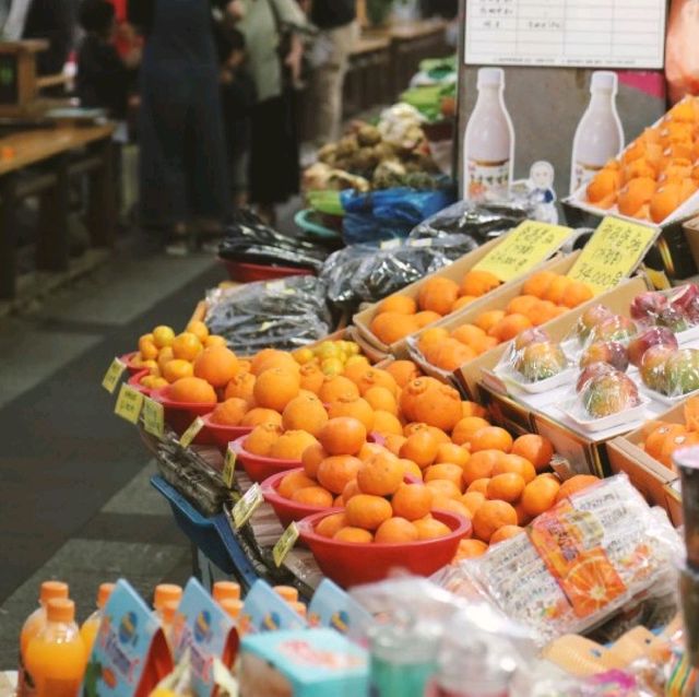 제주도 서귀포 올레시장 먹거리 & 회 맛집