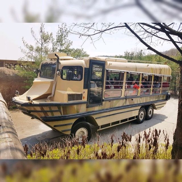 South Korea Largest Theme Park!