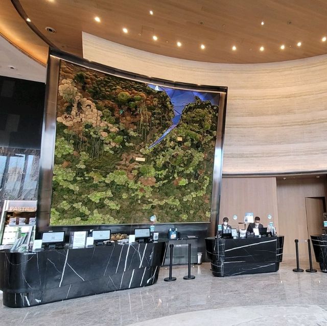 親子性價比酒店 ~ Alva Hotel 