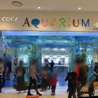 韓国/ソウル【三成】アートな水族館💙COEXアクアリウム