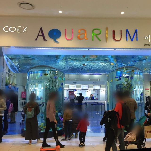 韓国/ソウル【三成】アートな水族館💙COEXアクアリウム