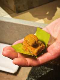 賞櫻｜中環高檔Omakase🇯🇵菜式精緻又獨特