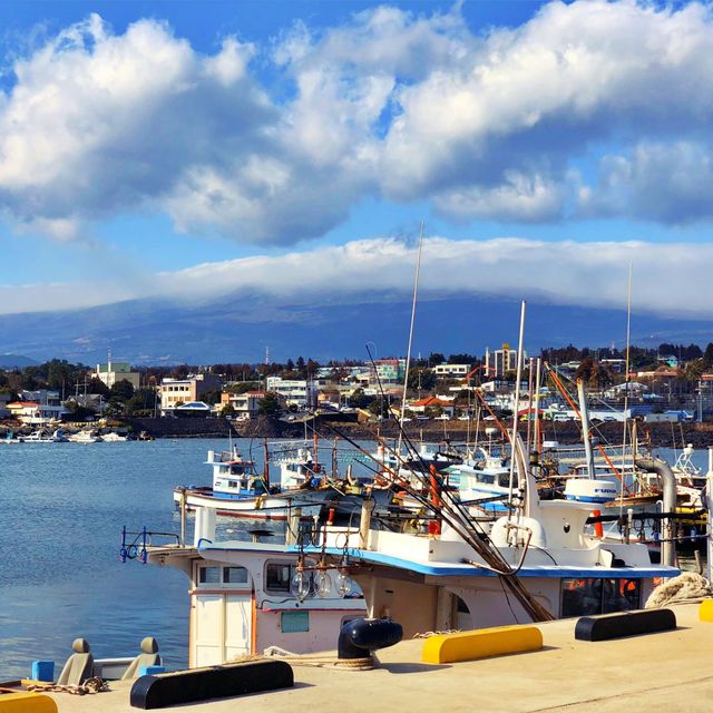⛴️ 한라산을 바라볼 수 있는 항구, 위미항
