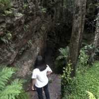 glasshouse hiking 