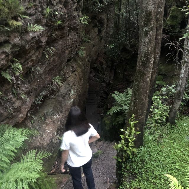 glasshouse hiking 