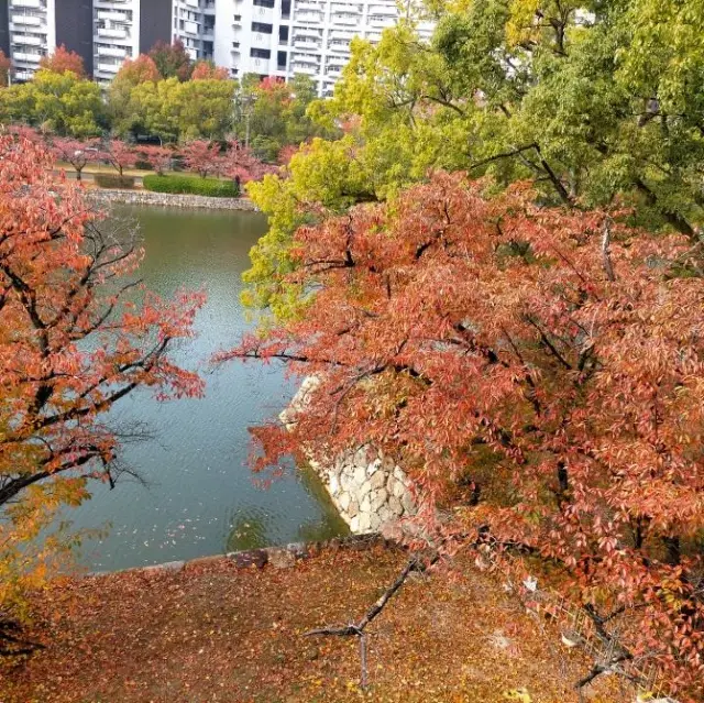 広島城　紅葉