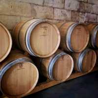 Saint Emilion Winery Tour Visit