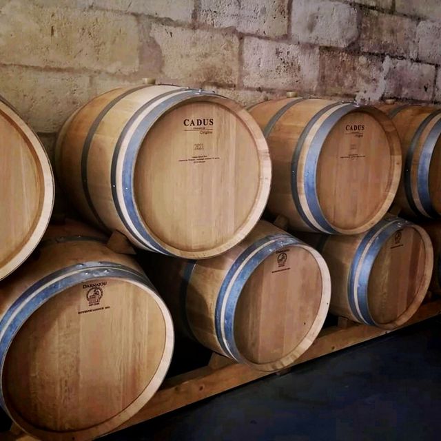 Saint Emilion Winery Tour Visit