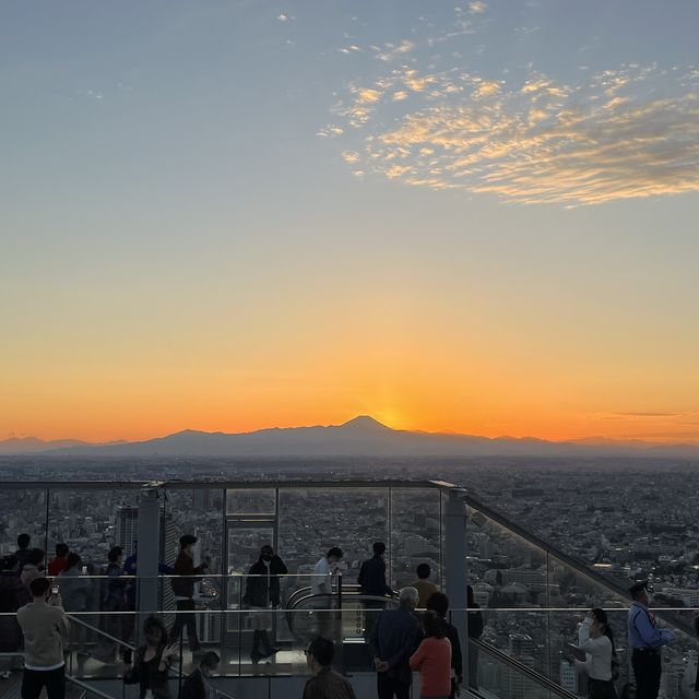 【東京】渋谷から東京を見下ろす✨SHIBUYA SKY