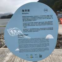 西貢橋咀島環島一天遊