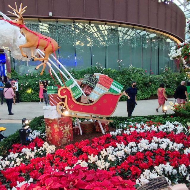 Christmas @ Flower Dome