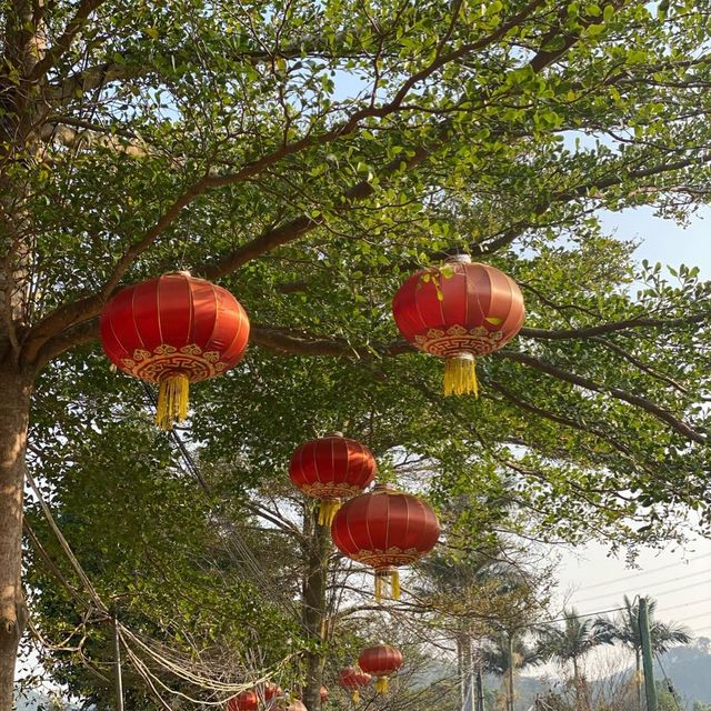 大棠有機生態園