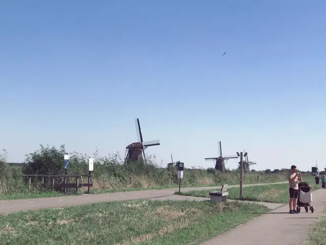 Kinderdijk Delights