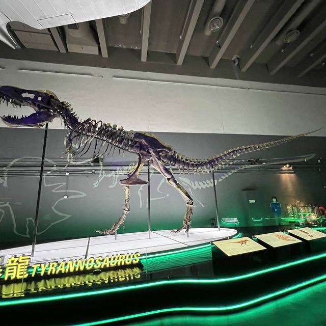 八大·尋龍🦖記