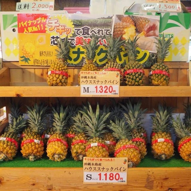 沖繩名護菠蘿🍍園❤️不一樣體驗
