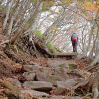 紅葉の赤城山山中