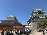 名古屋　金のシャチホコが凄い❗️名古屋城