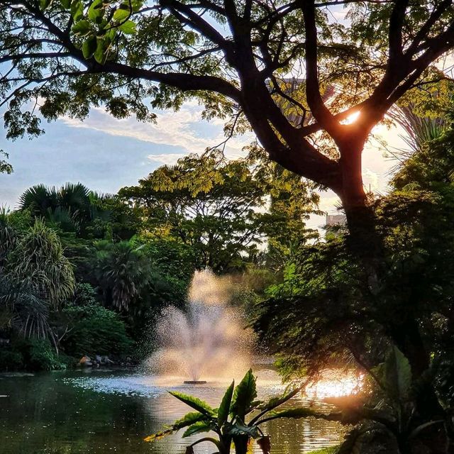 Kingfisher Wetland at Gardens By the Bay