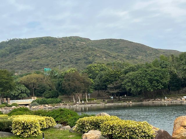 野餐勝地 ｜ 迪欣湖活動中心