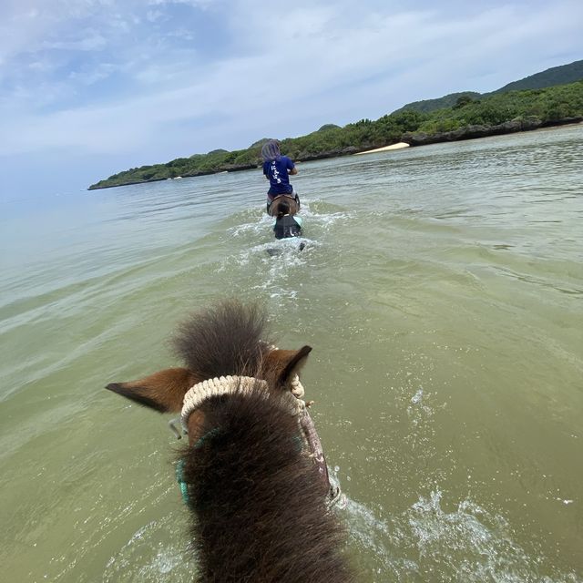 【沖縄･石垣島】海で乗馬が楽しめる‼️