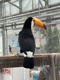 【掛川花鳥園】「花と鳥とのふれあい」が楽しめるテーマパーク
