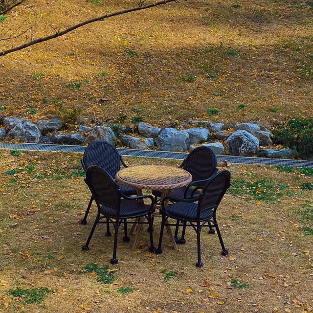 부산 해리포터가 나올 것 같은 카페 ‘카페만디’