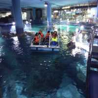 體驗不一樣的水族館 | 曼谷旅行