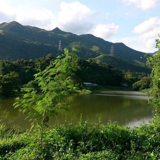 鹿頸景色