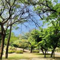 超大綠地公園🟢設計壯觀場面📍高雄中央公園站
