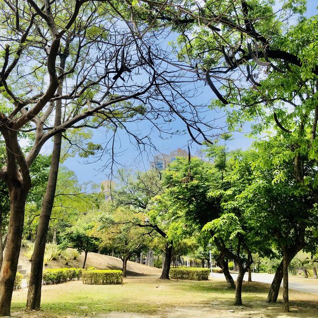 超大綠地公園🟢設計壯觀場面📍高雄中央公園站