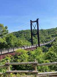 吊り橋嫌いな人は見ないでください！