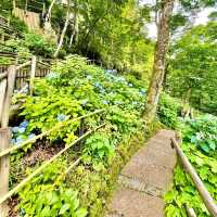 箱根ガラスの森美術館　庭園奥　箱根