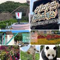 Everland😚韓國旅行必到