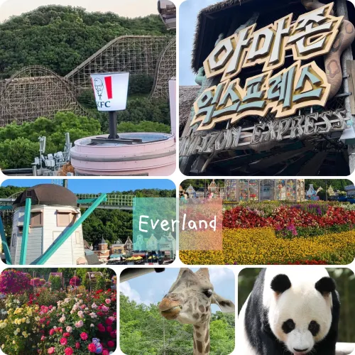에버랜드 😚한국 여행 꼭 가봐야 할 곳