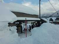 長野縣必去的滑雪場🎿🌟🌟🌟