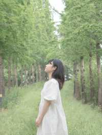 당진 필수 여행코스. 아그로랜드 태신목장🌿