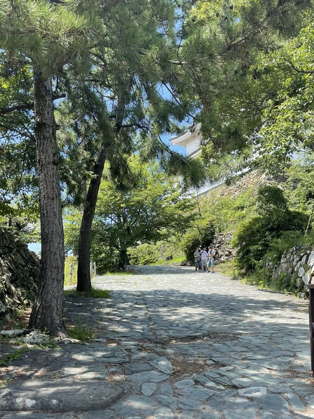 和歌山城と言えば、徳川御三家の紀州藩