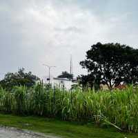 The Joys Of Agricultural Farming 