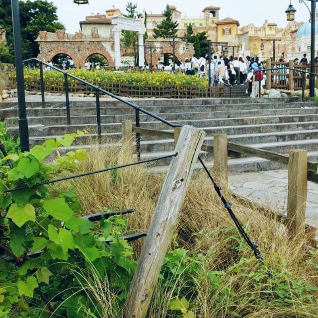 東京ディズニーシーの野菜と花壇