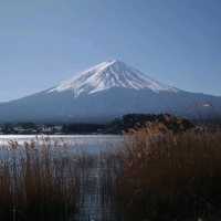 Tokyo | Japan 🇯🇵 ภูเขาไฟฟูจิ 🗻