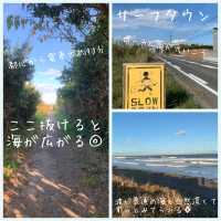 【千葉県一宮町】サーフタウンに癒された♡