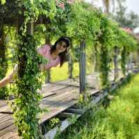 ร้านคาเฟ่สุดโด่งดังใน ลพบุรี ใครๆก็ต้องมา
