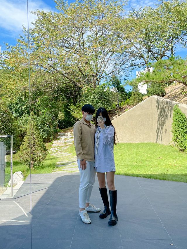 숲속에서 식사를, 울산 부조화숲