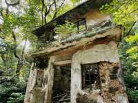 【行山】茅坪古道、北港古道：古靈精怪榼藤