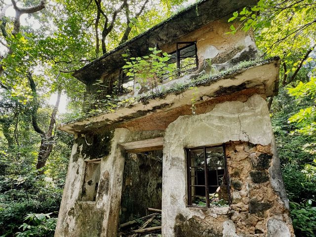 【行山】茅坪古道、北港古道：古靈精怪榼藤