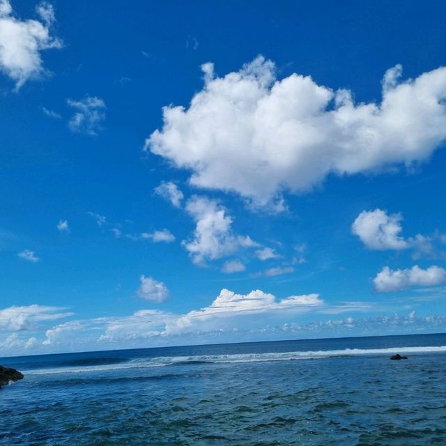 호주 본다이 비치
